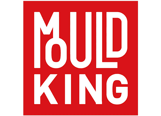 Mould King